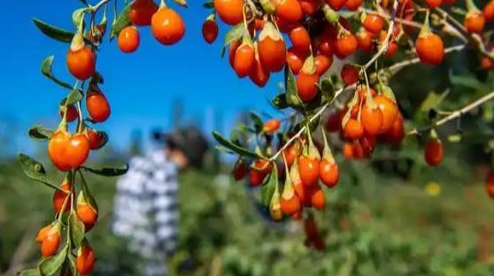 ????? "???? ??? ??????" ?? ???????? ??? ??????